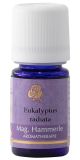 eukalyptus_l-eukalyptus_radiata-_therische_le.jpg