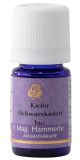 kiefer_l-kiefer_l-_therische_le.jpg