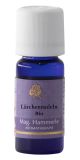 Lächennadelöl bio - ätherisches Öl Lärchennadeln bio