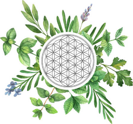 Kräuter mit Blume des Lebens